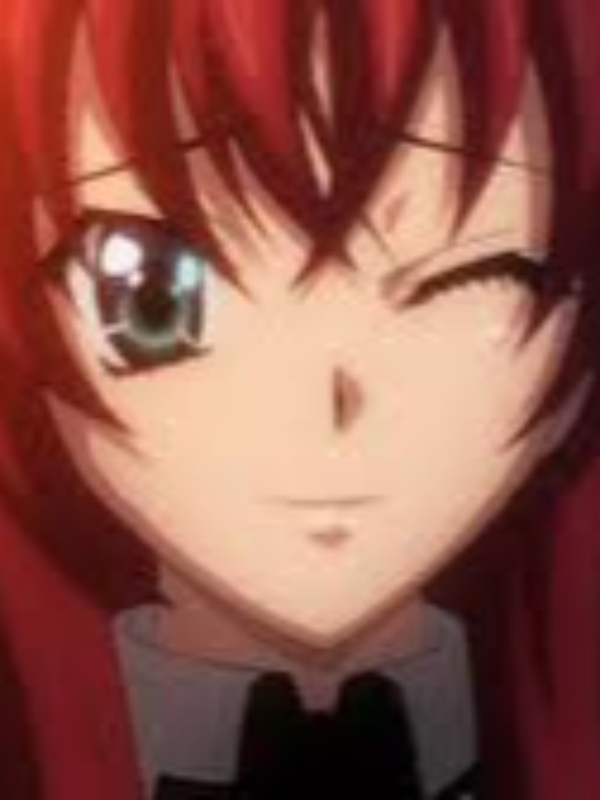 Transmigrating to the world of High School DxD