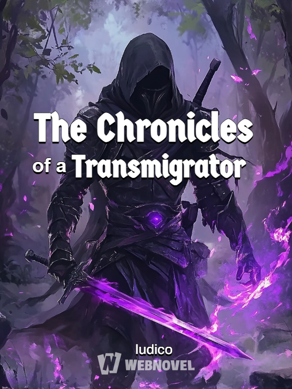 The Chronicles of a Transmigrator