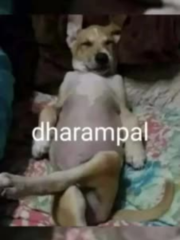 Dharampal The continuation